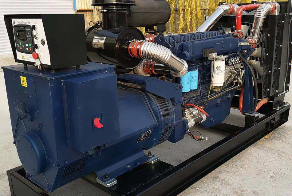 Case of 500KW diesel generator set for animal husbandry